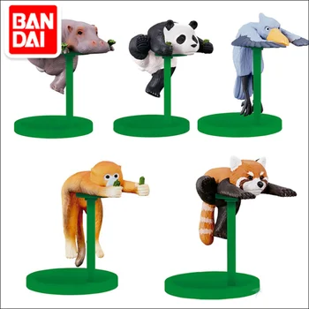 Bandai Eredeti Eredeti Mini Modell Gashapon 62323 Panda Víziló Mosómedve Játék